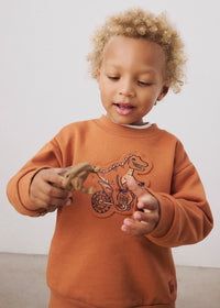 Mayoral Dino Sweatshirt 4459