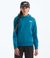 The North Face Evolution Simple Dome Hoodie