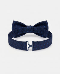 Appaman Bow Tie - Electric Blue