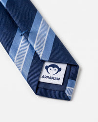 Appaman Blue Stripe Tie