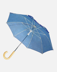 Color-Changing Umbrella Blue Chameleon Print