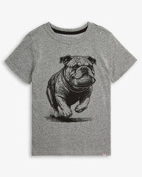 Appaman Mascot Grey Short Sleeve Tee