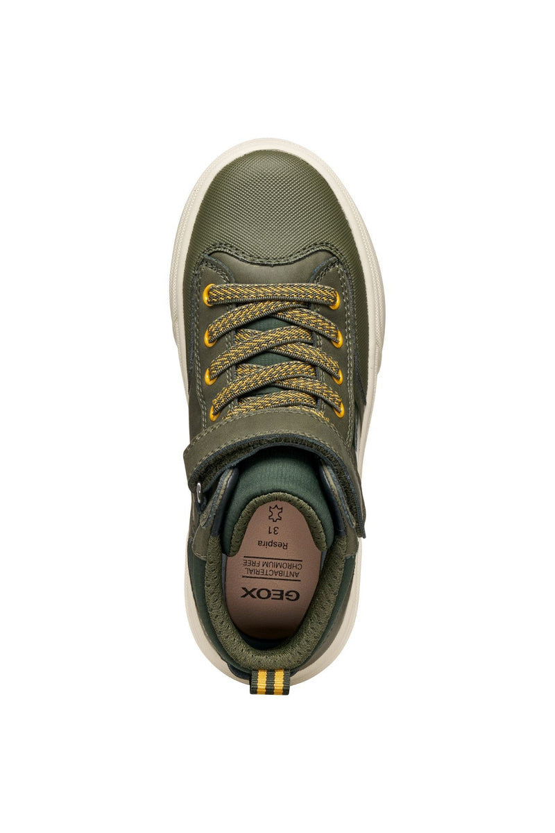 Geox Weemble High Top