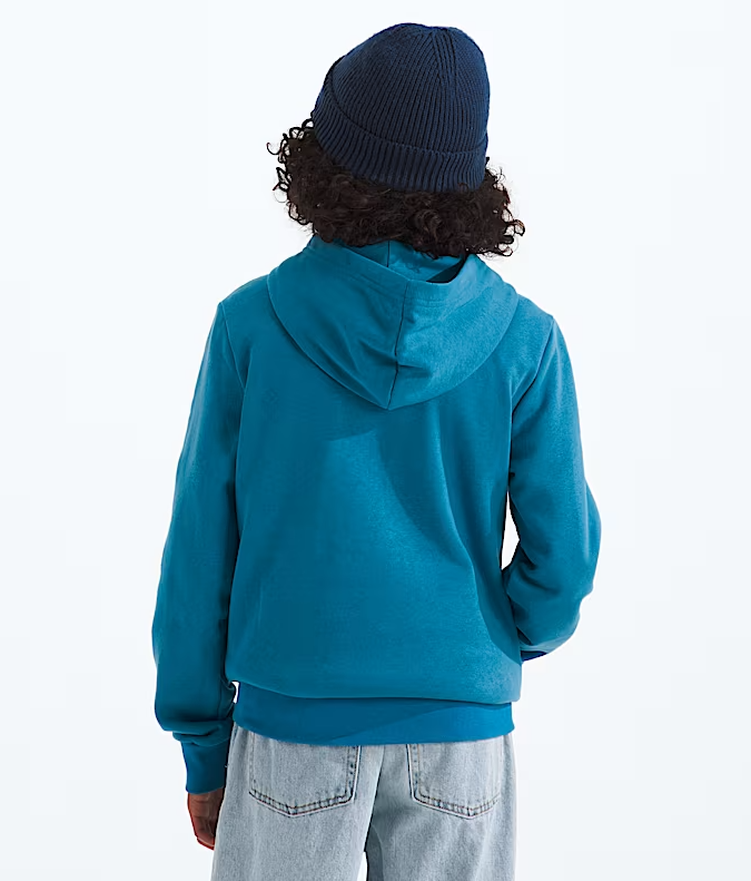 The North Face Evolution Simple Dome Hoodie
