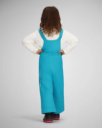 Obermeyer Snoverall Snow Pant