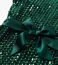 Hatley Green Sequins Velvet Dress