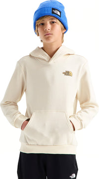 The North Face Boys Outdoor Hoodie