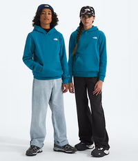 The North Face Evolution Hoodie
