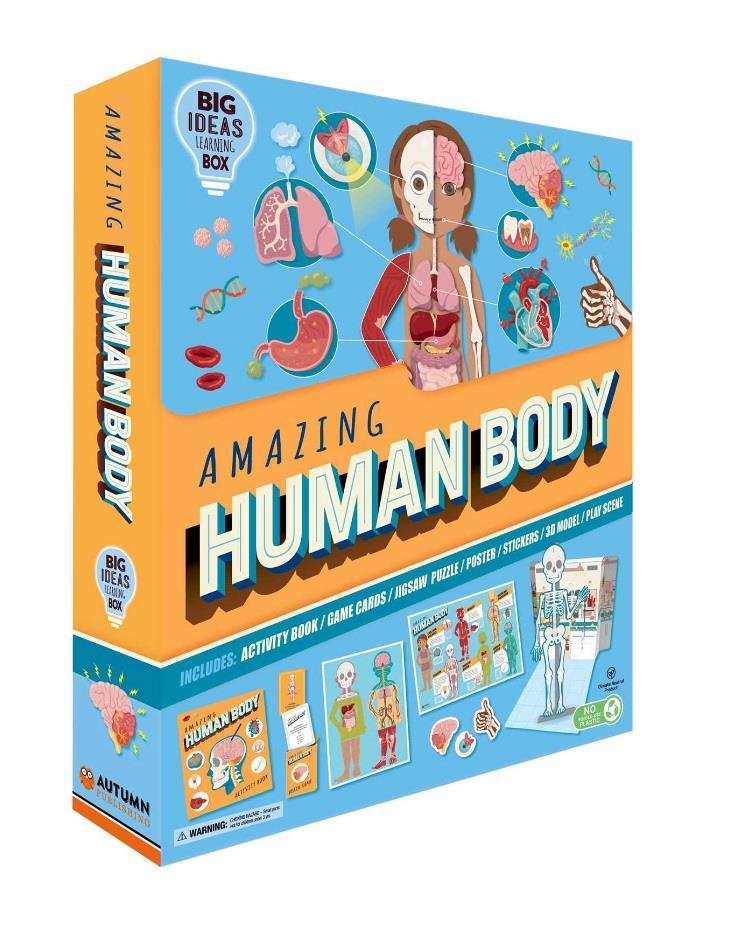 Amazing Human Body Book & Model