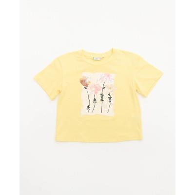 M.I.D Spring Top