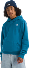 The North Face Evolution Hoodie