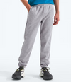 The North Face Evolution Sweatpant