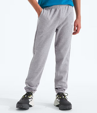 The North Face Evolution Sweatpant