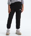 The North Face Evolution Sweatpant