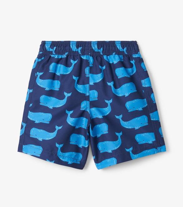 Hatley Block Whales Swim Trunk