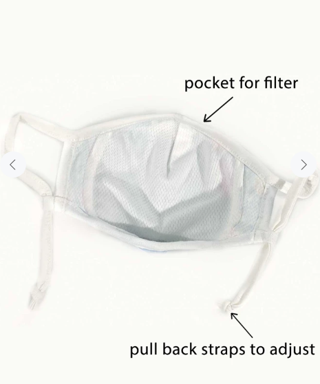 Face Mask with Filters